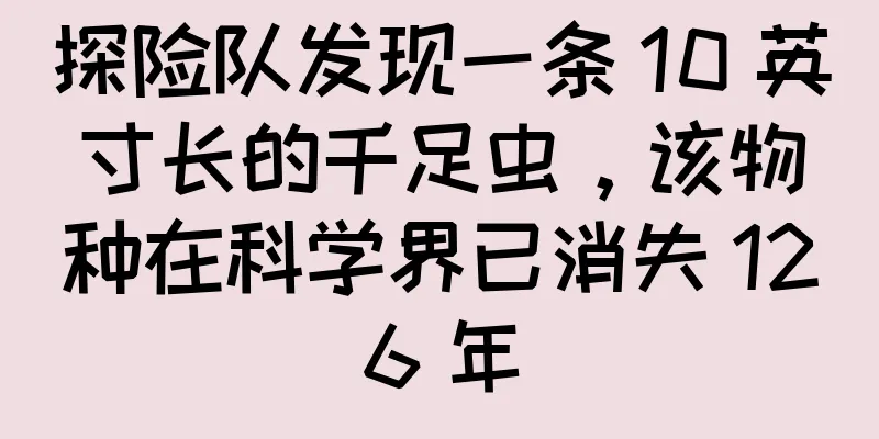 探险队发现一条 10 英寸长的千足虫，该物种在科学界已消失 126 年