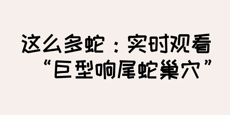 这么多蛇：实时观看“巨型响尾蛇巢穴”