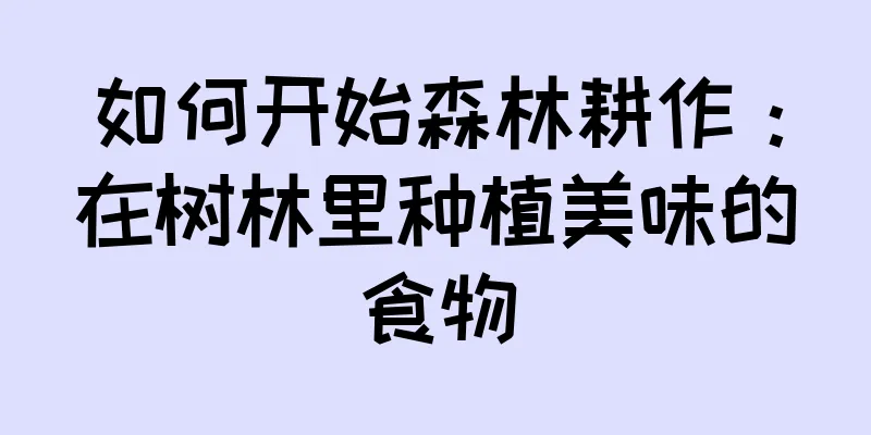 如何开始森林耕作：在树林里种植美味的食物
