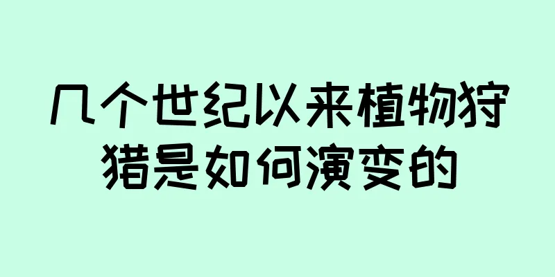 几个世纪以来植物狩猎是如何演变的