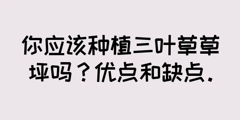 你应该种植三叶草草坪吗？优点和缺点。
