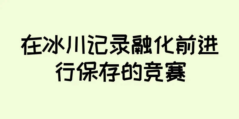 在冰川记录融化前进行保存的竞赛