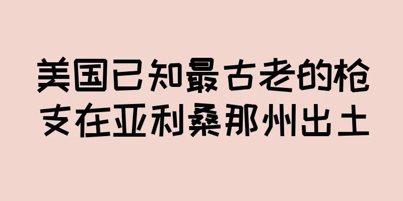 美国已知最古老的枪支在亚利桑那州出土