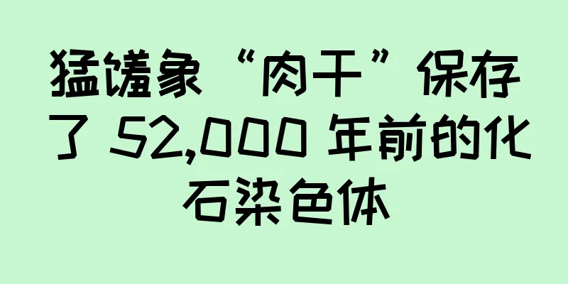 猛犸象“肉干”保存了 52,000 年前的化石染色体
