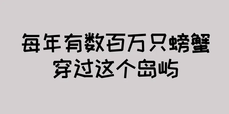 每年有数百万只螃蟹穿过这个岛屿