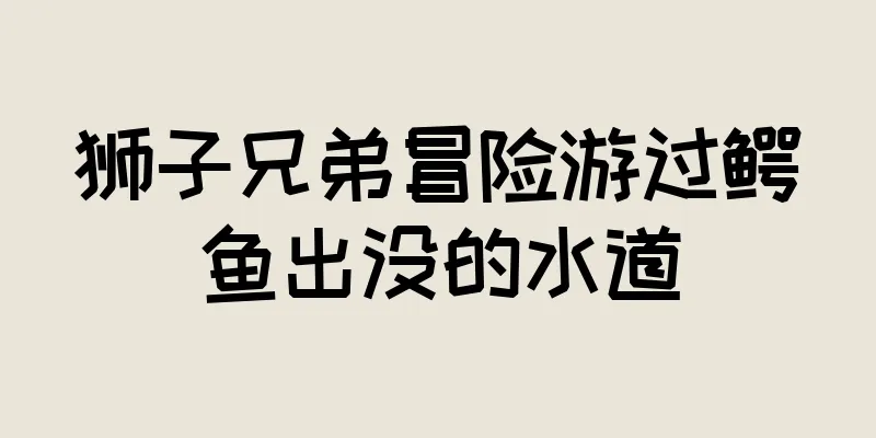 狮子兄弟冒险游过鳄鱼出没的水道