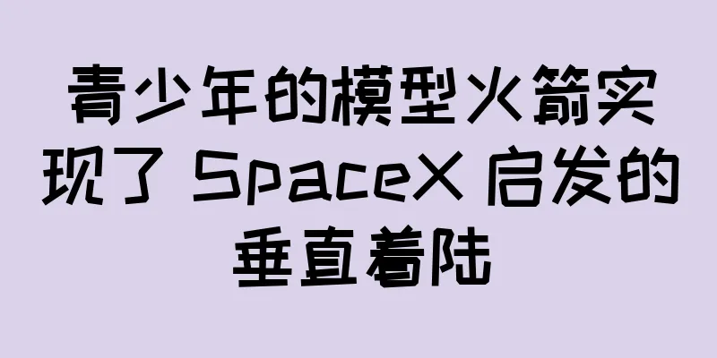 青少年的模型火箭实现了 SpaceX 启发的垂直着陆