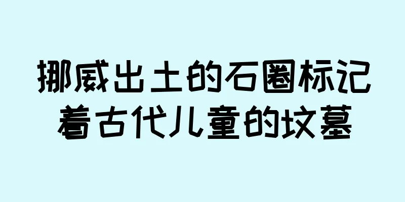 挪威出土的石圈标记着古代儿童的坟墓