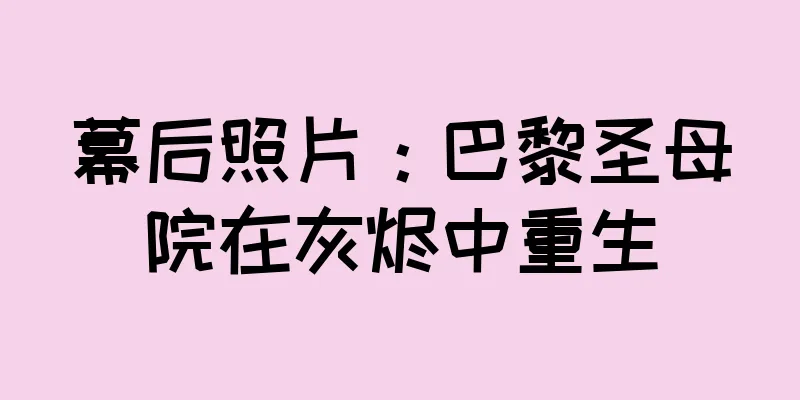 幕后照片：巴黎圣母院在灰烬中重生