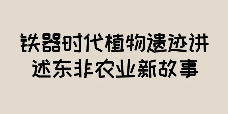 铁器时代植物遗迹讲述东非农业新故事