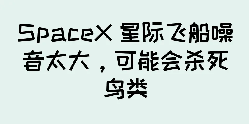 SpaceX 星际飞船噪音太大，可能会杀死鸟类