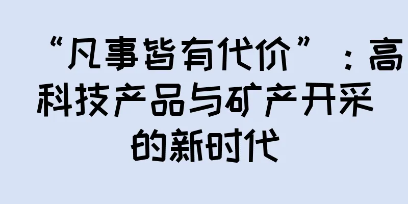 “凡事皆有代价”：高科技产品与矿产开采的新时代