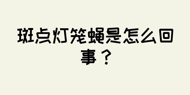 斑点灯笼蝇是怎么回事？