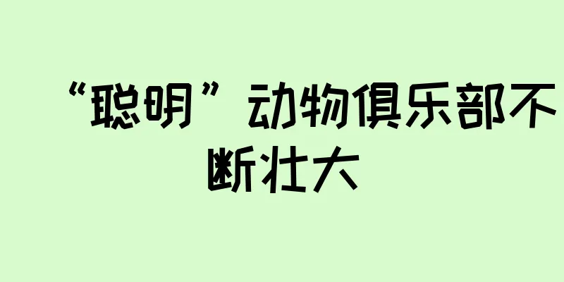 “聪明”动物俱乐部不断壮大