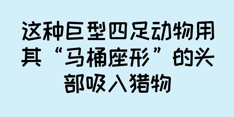 这种巨型四足动物用其“马桶座形”的头部吸入猎物