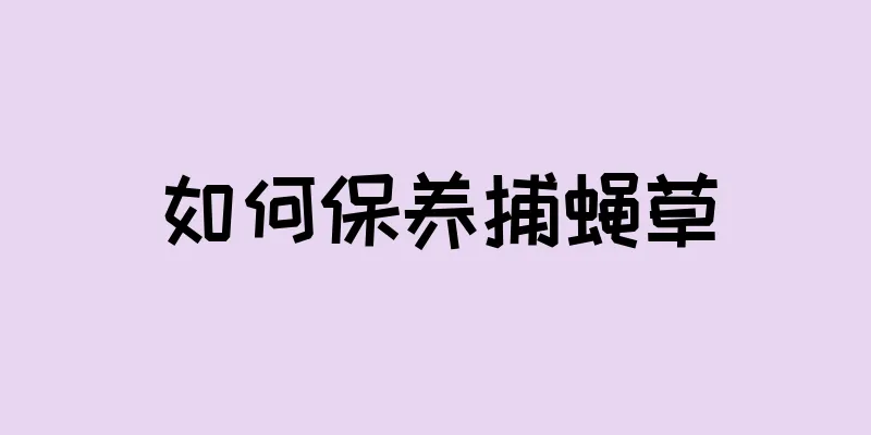 如何保养捕蝇草