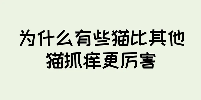 为什么有些猫比其他猫抓痒更厉害