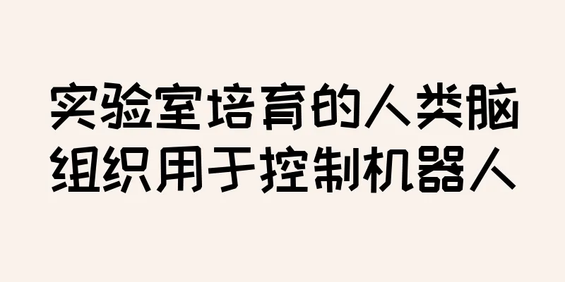 实验室培育的人类脑组织用于控制机器人