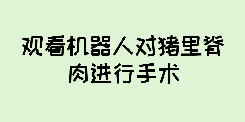 观看机器人对猪里脊肉进行手术