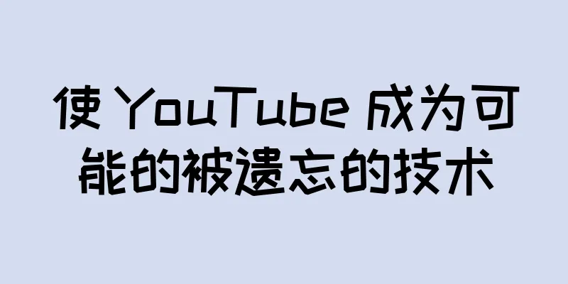 使 YouTube 成为可能的被遗忘的技术