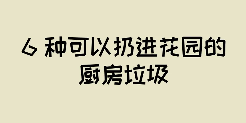 6 种可以扔进花园的厨房垃圾