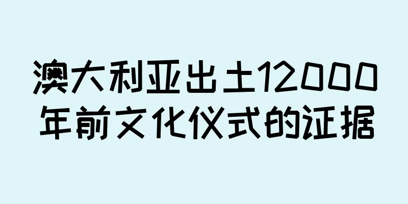 澳大利亚出土12000年前文化仪式的证据