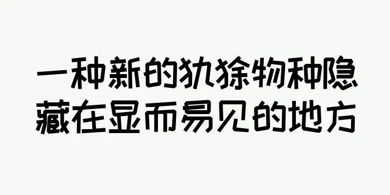 一种新的犰狳物种隐藏在显而易见的地方