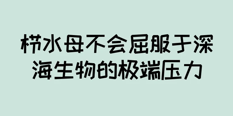 栉水母不会屈服于深海生物的极端压力