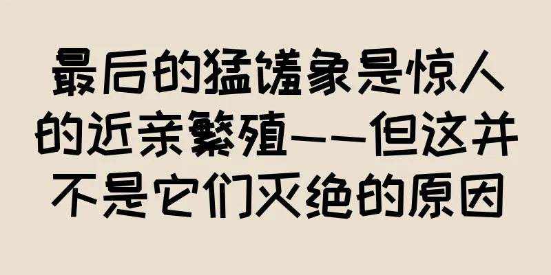 最后的猛犸象是惊人的近亲繁殖——但这并不是它们灭绝的原因