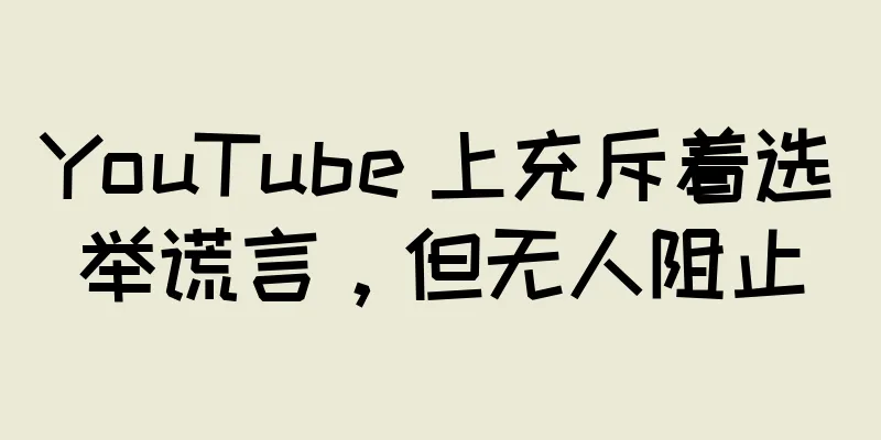YouTube 上充斥着选举谎言，但无人阻止