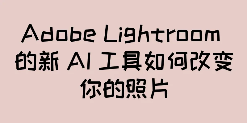 Adobe Lightroom 的新 AI 工具如何改变你的照片