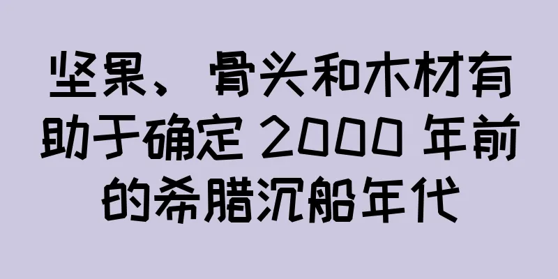 坚果、骨头和木材有助于确定 2000 年前的希腊沉船年代