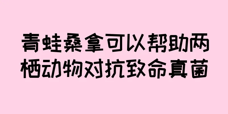 青蛙桑拿可以帮助两栖动物对抗致命真菌