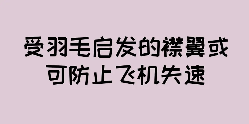 受羽毛启发的襟翼或可防止飞机失速