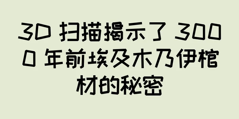 3D 扫描揭示了 3000 年前埃及木乃伊棺材的秘密