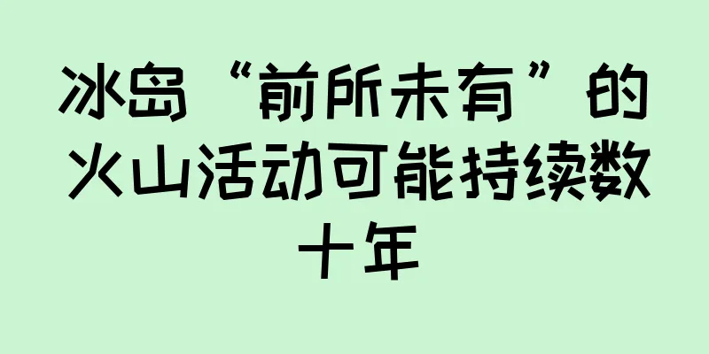 冰岛“前所未有”的火山活动可能持续数十年