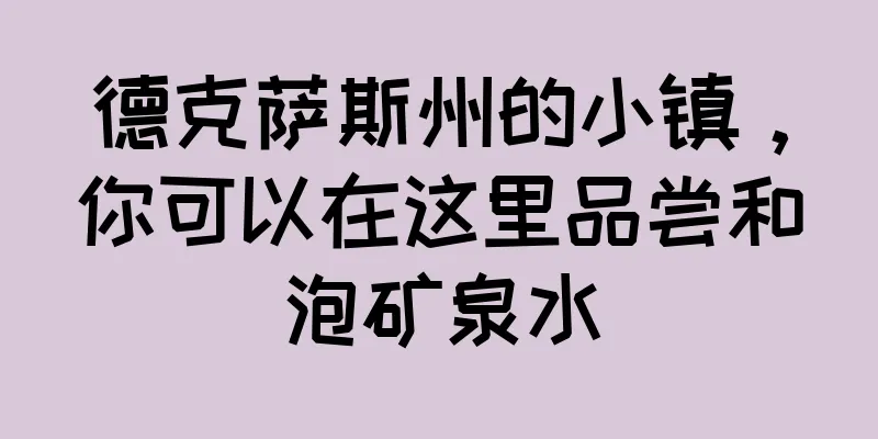 德克萨斯州的小镇，你可以在这里品尝和泡矿泉水