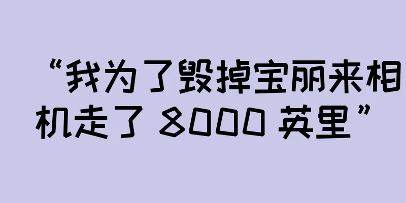 “我为了毁掉宝丽来相机走了 8000 英里”