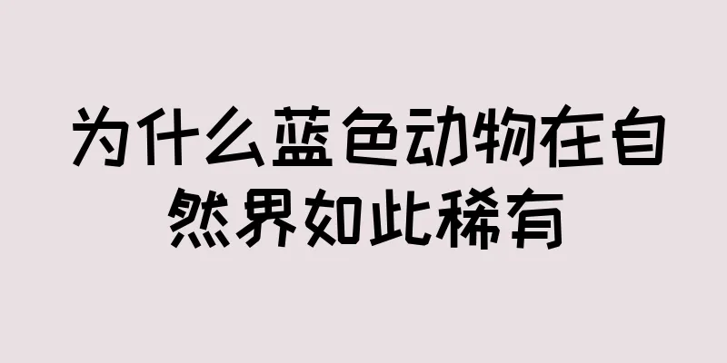 为什么蓝色动物在自然界如此稀有