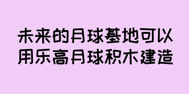 未来的月球基地可以用乐高月球积木建造