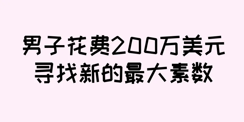 男子花费200万美元寻找新的最大素数