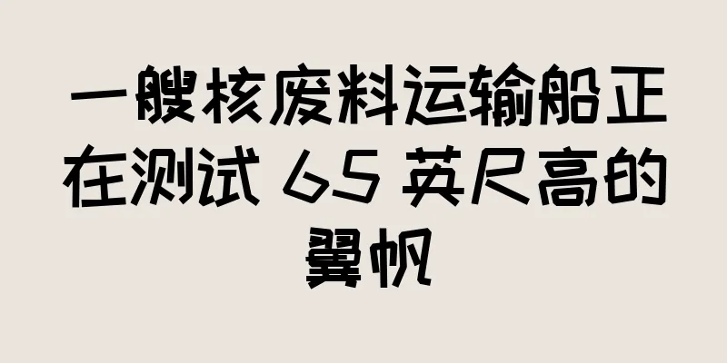一艘核废料运输船正在测试 65 英尺高的翼帆