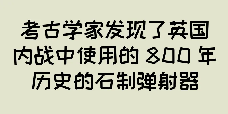 考古学家发现了英国内战中使用的 800 年历史的石制弹射器