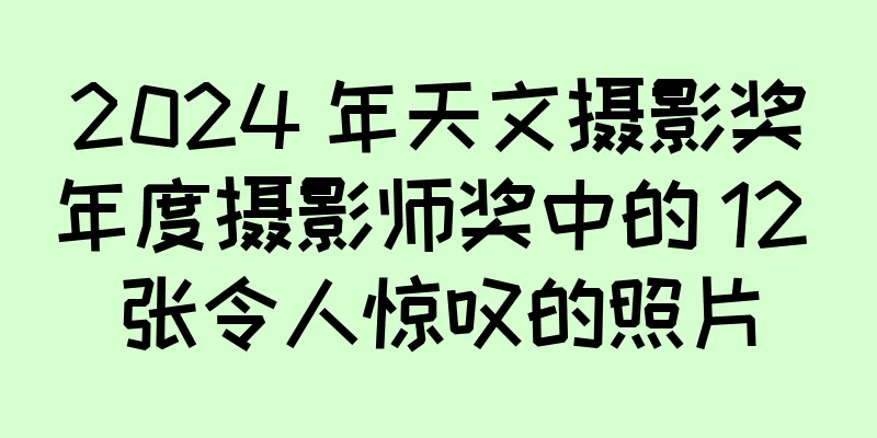 2024 年天文摄影奖年度摄影师奖中的 12 张令人惊叹的照片