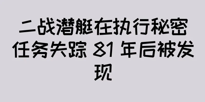 二战潜艇在执行秘密任务失踪 81 年后被发现