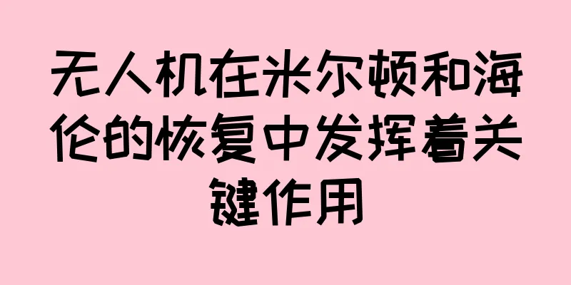无人机在米尔顿和海伦的恢复中发挥着关键作用