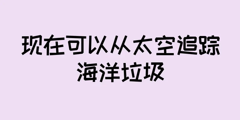 现在可以从太空追踪海洋垃圾