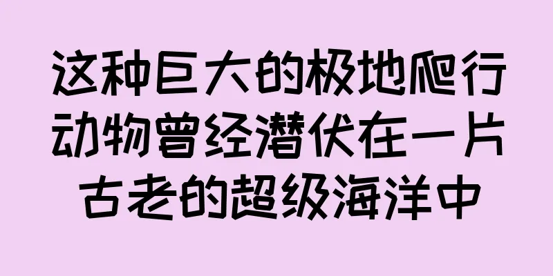 这种巨大的极地爬行动物曾经潜伏在一片古老的超级海洋中