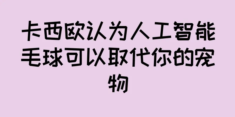 卡西欧认为人工智能毛球可以取代你的宠物