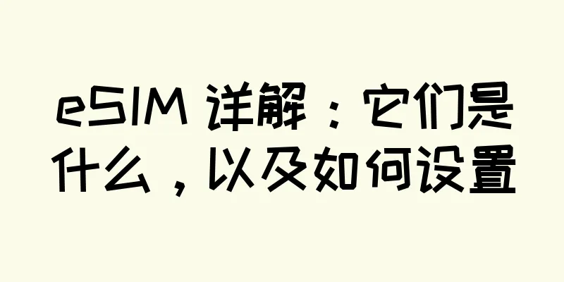 eSIM 详解：它们是什么，以及如何设置